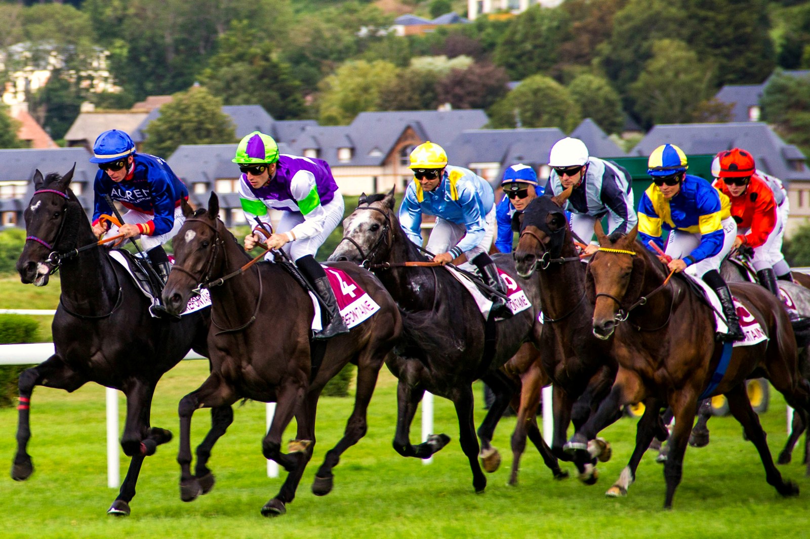 Peloton de chevaux en course